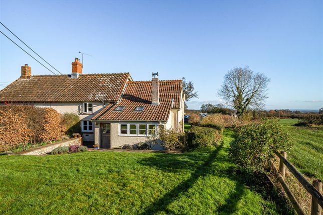 Semi-detached house for sale in Bowgreen, Staple Fitzpaine, Taunton