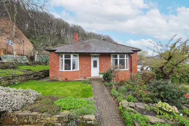 Detached bungalow for sale in Cobnar Road, Sheffield