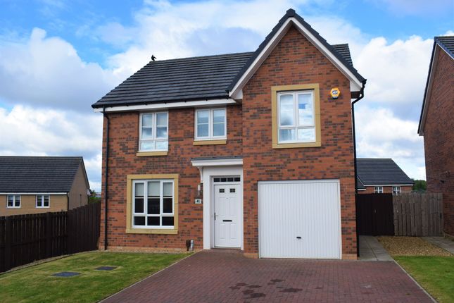 Thumbnail Detached house to rent in Skylark Wynd, Motherwell, North Lanarkshire