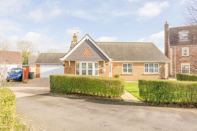 Thumbnail Detached bungalow for sale in Catchpole Grove, Stickford