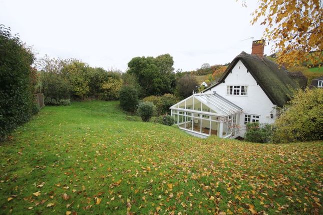 Thumbnail Semi-detached house to rent in The Old Thatch, Kilve