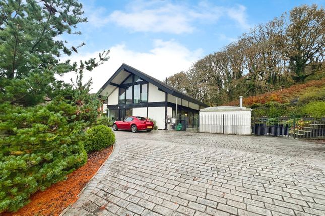 The Magpies Forest Lodge Lane, Port Talbot photo 2