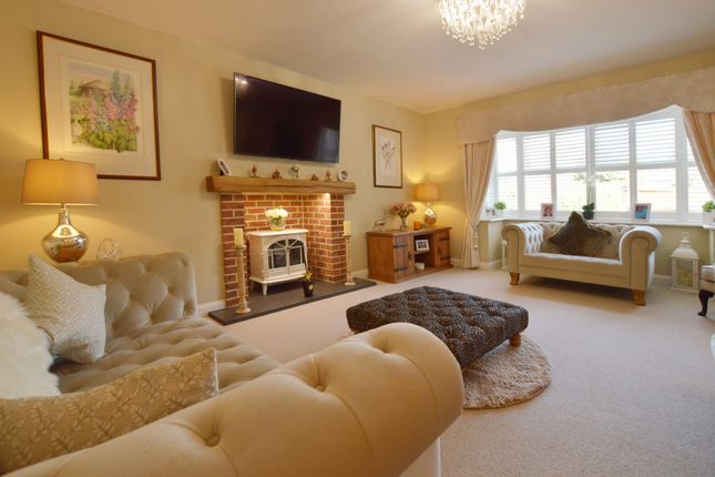 Out of Bounds, 3, Thoresby Lane, Grimsby photo 4