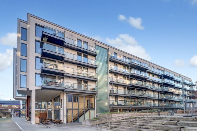 Stock Exterior Ground Cropped