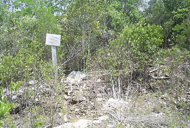 Land for sale in Long Island, The Bahamas