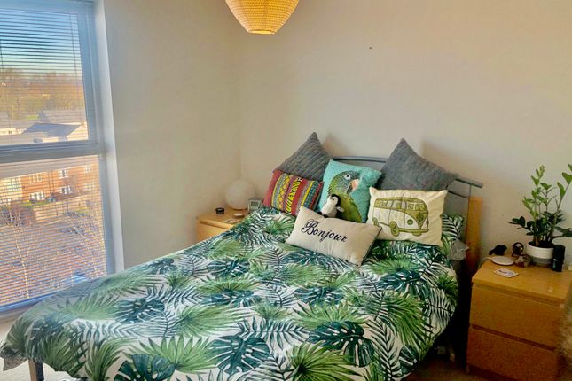 Apt 42, Manchester photo 5