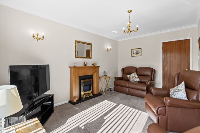 93, Hastings Road, Sheffield photo 4