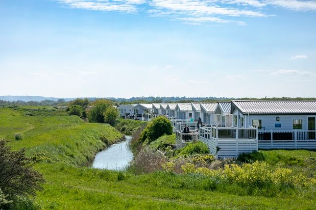 Rye Harbour Coastal and Country Park, Rye photo 3