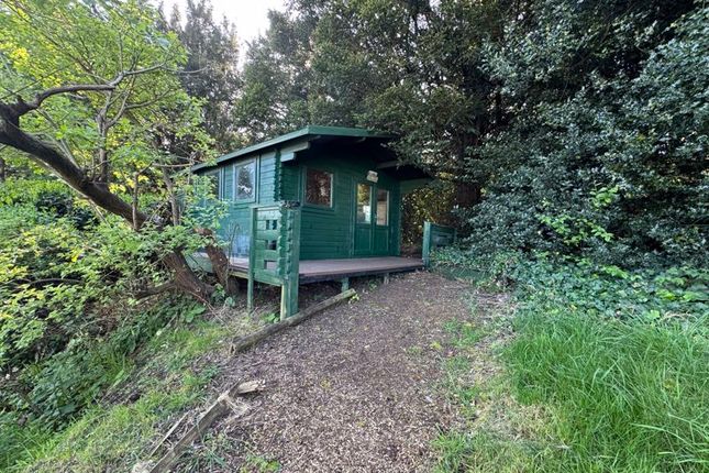 Yoga /Gym Retreat