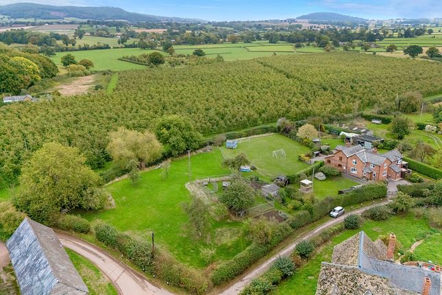 Portmeirion Cottage, Kinnersley, Hereford photo 3