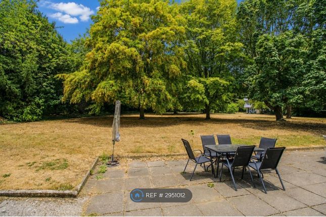 Great Plumtree, Harlow photo 2