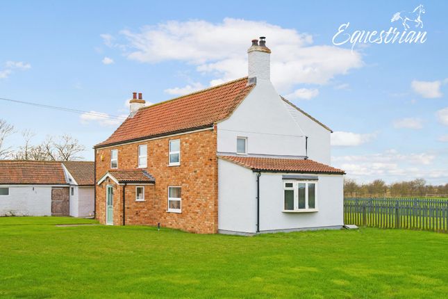 Thumbnail Equestrian property for sale in Main Road, Saltfleetby, Louth