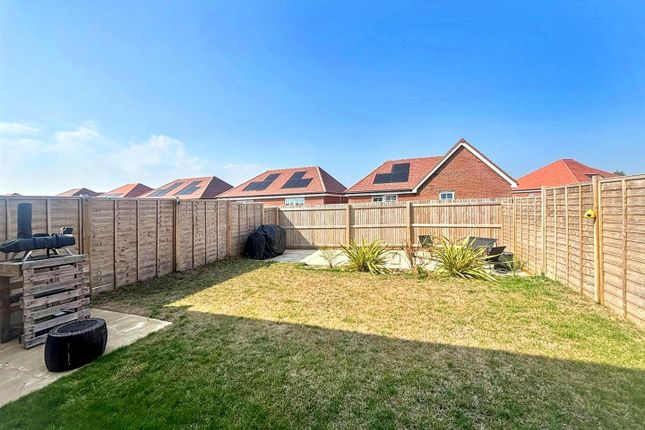 97, Wooller Street, Eastbourne photo 4