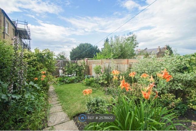 Back Garden