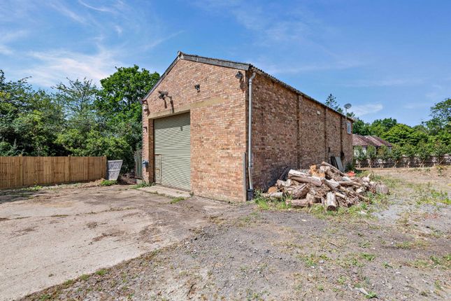 The Pack House