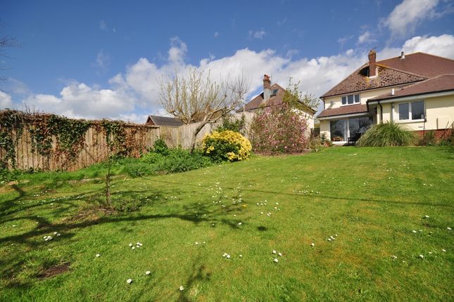 Thumbnail Semi-detached house to rent in Main Road, Brighstone, Newport
