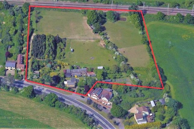 Thumbnail Property for sale in Colchester Main Road, Alresford