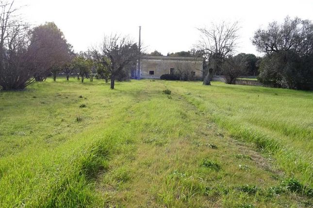 Studio for sale in Oria, Puglia, 72024, Italy