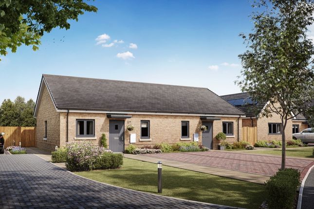 Thumbnail Semi-detached house for sale in Plot 12 Cherry, Hotchkin Gardens, Woodhall Spa, Lincolnshire
