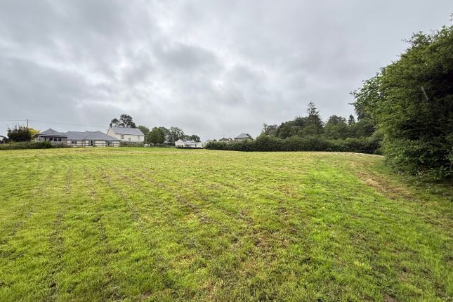 Y Felin, Pentrecwrt, Llandysul photo 3