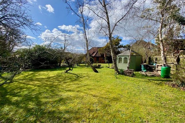 Enclosed Rear Garden