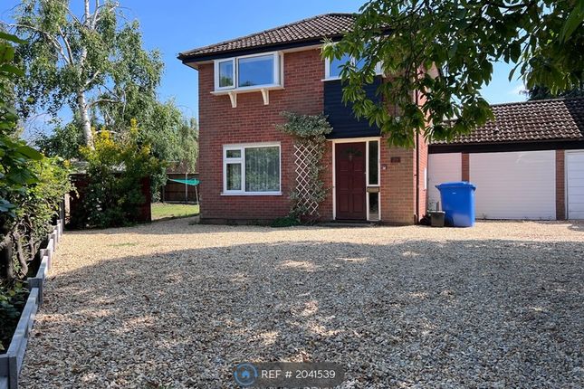 Detached house to rent in Holworthy Road, Norwich