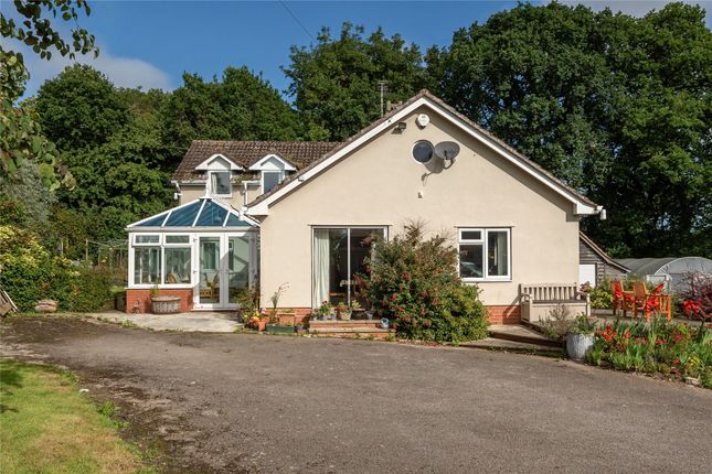 Detached house for sale in Old Taunton Road, Dalwood, Axminster, Devon