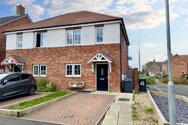 Thumbnail Semi-detached house to rent in Edderacres Walk, Wingate