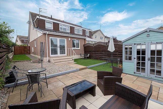 Back Garden