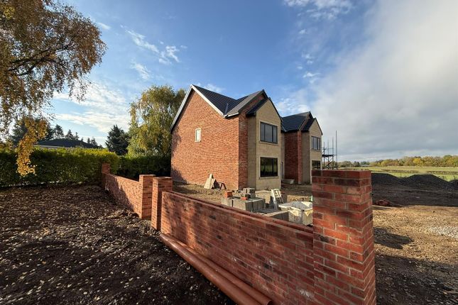 Low Coniscliffe, Darlington photo 5