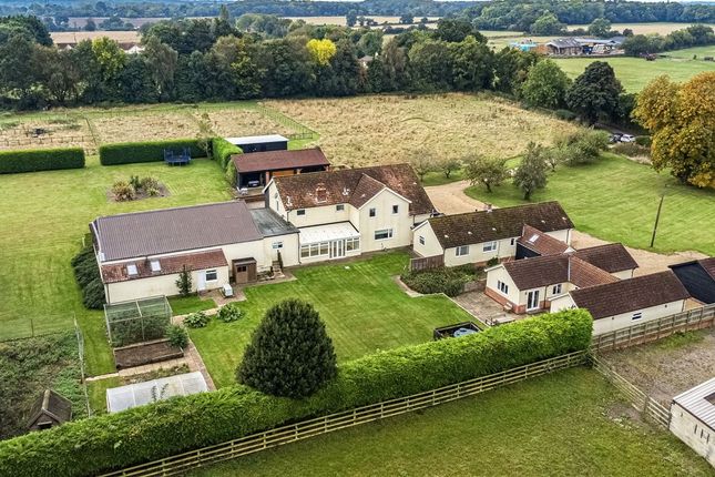 Grove Farm House