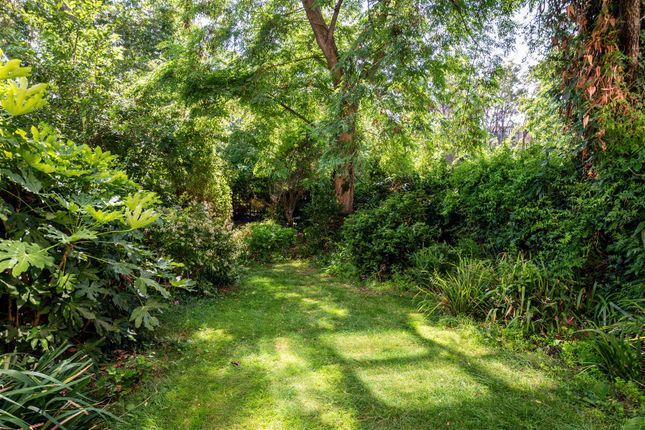 67A, Elsham Road, London photo 4