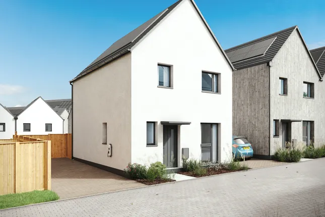 Pobl Living - Gwynfaen