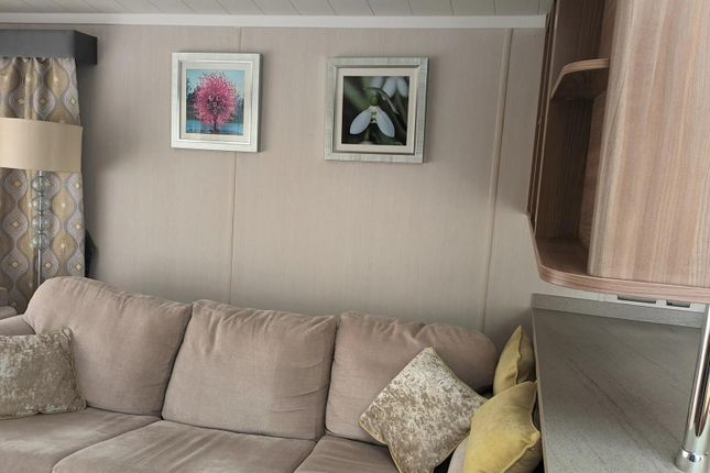151, Ribble Valley Country & Leisure Park, Clitheroe photo 3