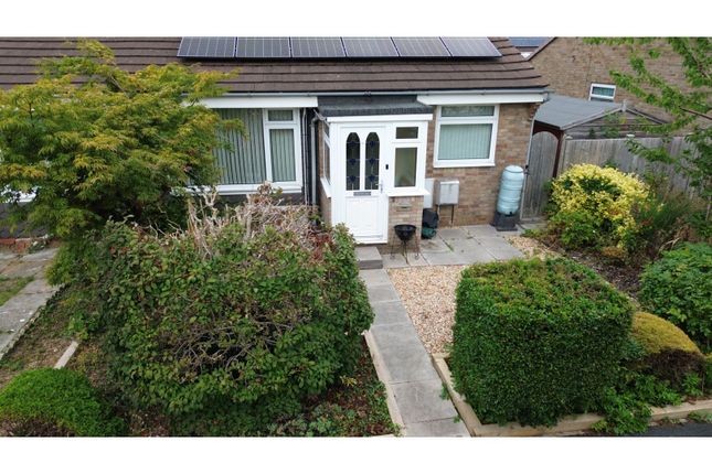 93, Dovecote, Bristol photo 3