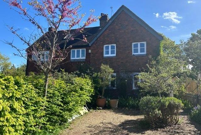 Semi-detached house to rent in Rose Lane, Ripley, Woking