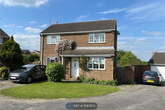 Thumbnail Detached house to rent in Devonshire Avenue, Ripley