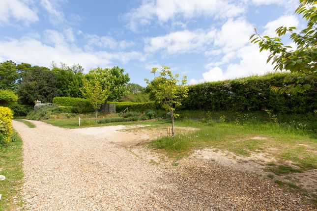 Hops Cottage, 2 Littleport Yard, Hunstanton photo 4