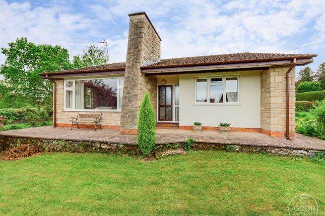 Thumbnail Bungalow for sale in Much Dewchurch, Hereford