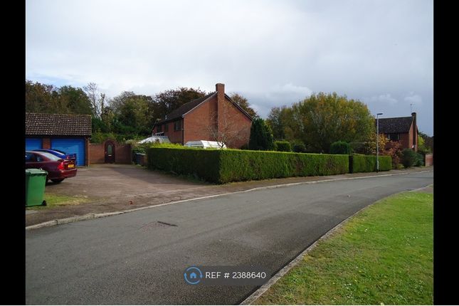 Shows Road And Large Private Driveway