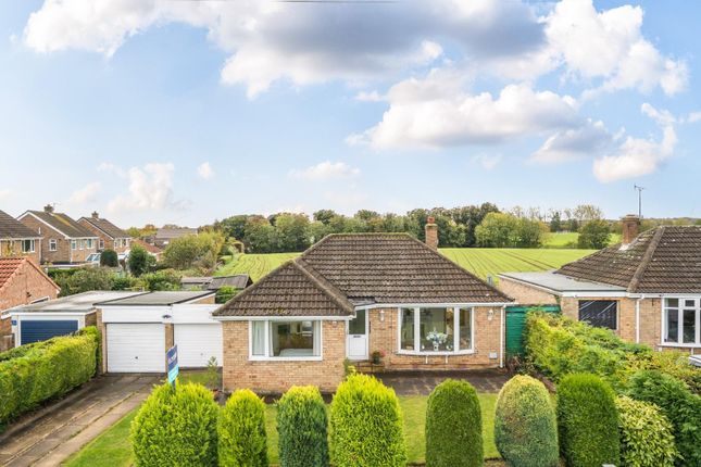 External Elevated.Jpg