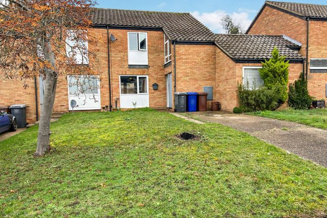 Tlc_5A91Fbe4-7B46-45A8-Aa18-E2B35Edacbc1_3157ce4.J