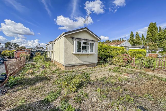 Photo Sep 24 2025, 12 14 12 Pm.Jpg