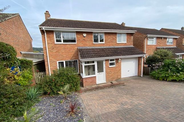 Thumbnail Detached house to rent in Hillymead, Seaton