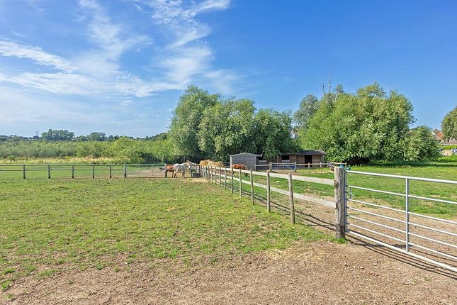 Bungalow for sale in School Lane, Lower Halstow, Sittingbourne, Kent