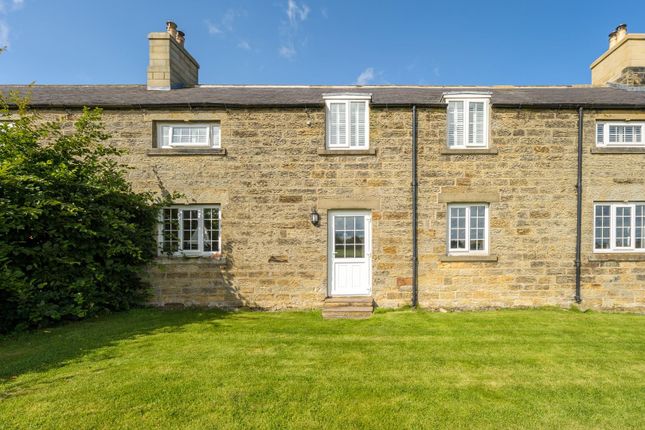 Thumbnail Terraced house for sale in Sturton Grange Cottages, Warkworth, Morpeth