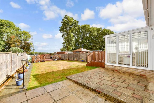 Patio / Decking