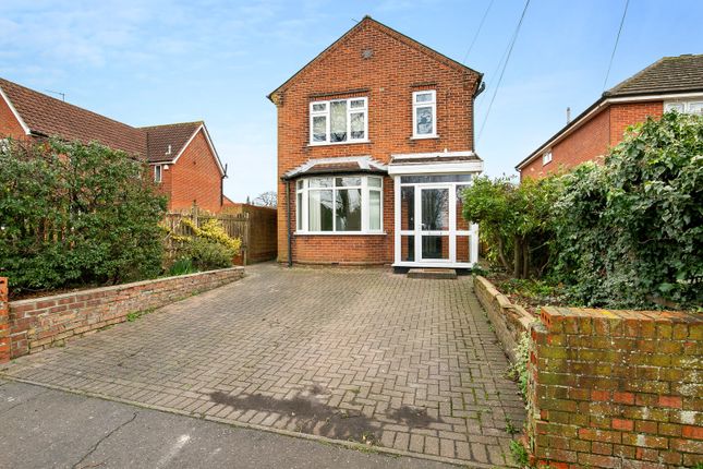 Thumbnail Detached house to rent in Layer Road, Colchester