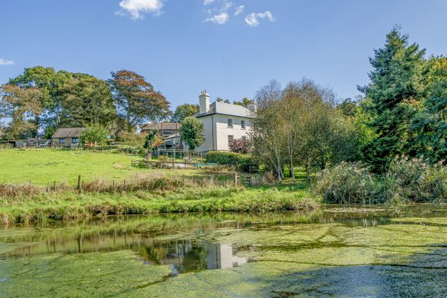 1358931-25-68d169...