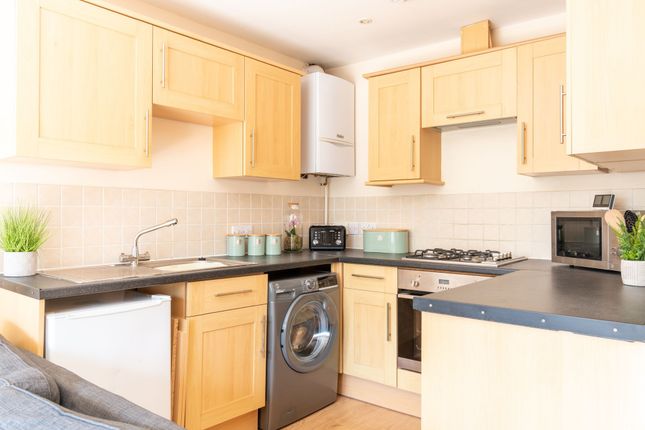 Bright Modern Kitchen With Light Wood Cabinets, Bl...